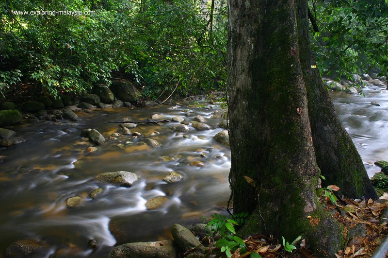 Sungai Sedim, Kedah