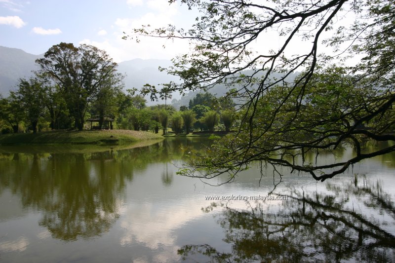 Taiping Lake Gardens