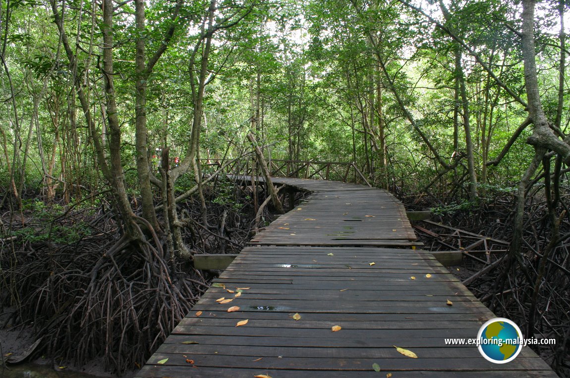 Taman Paya Bakau, Lumut