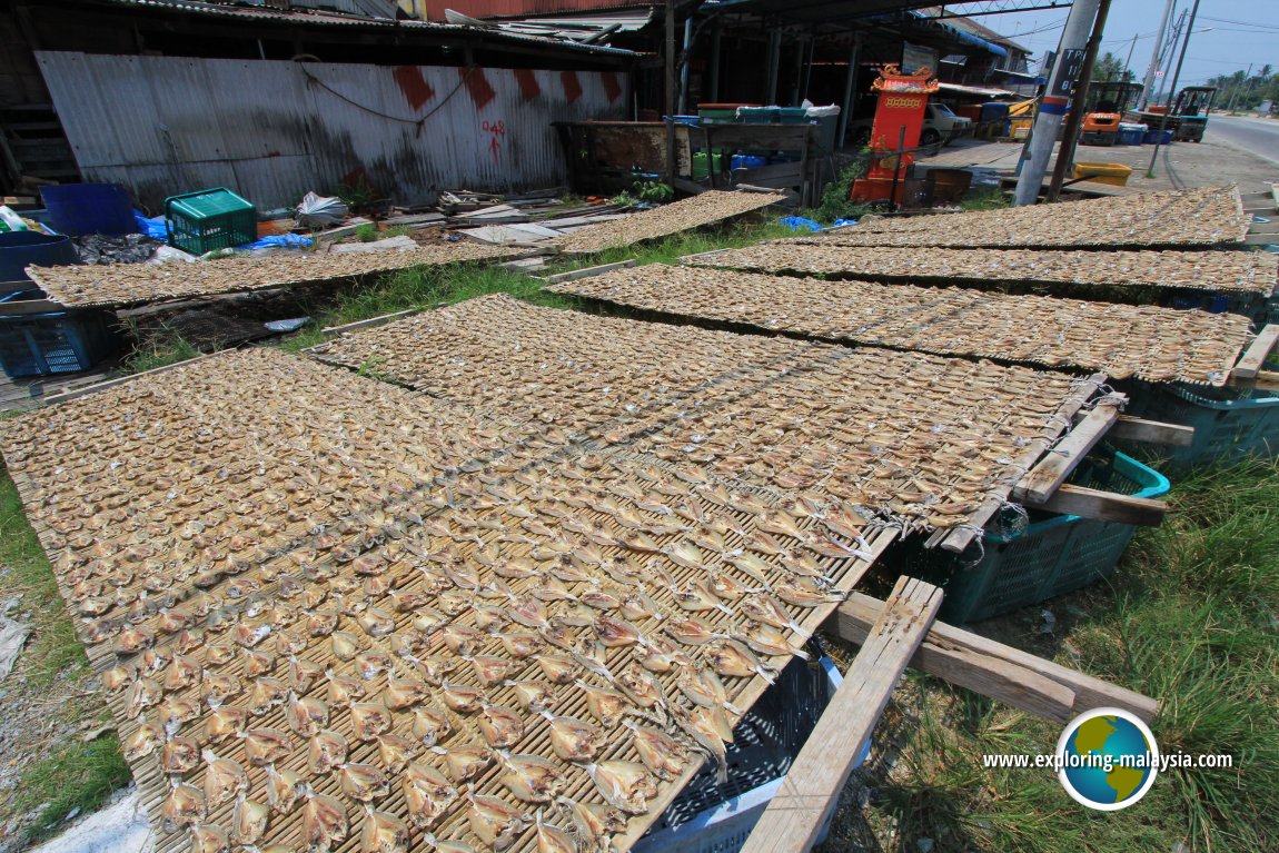 Tanjung Piandang salted fish industry