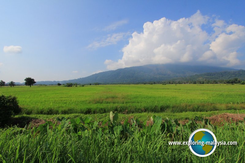 Teroi, Kedah