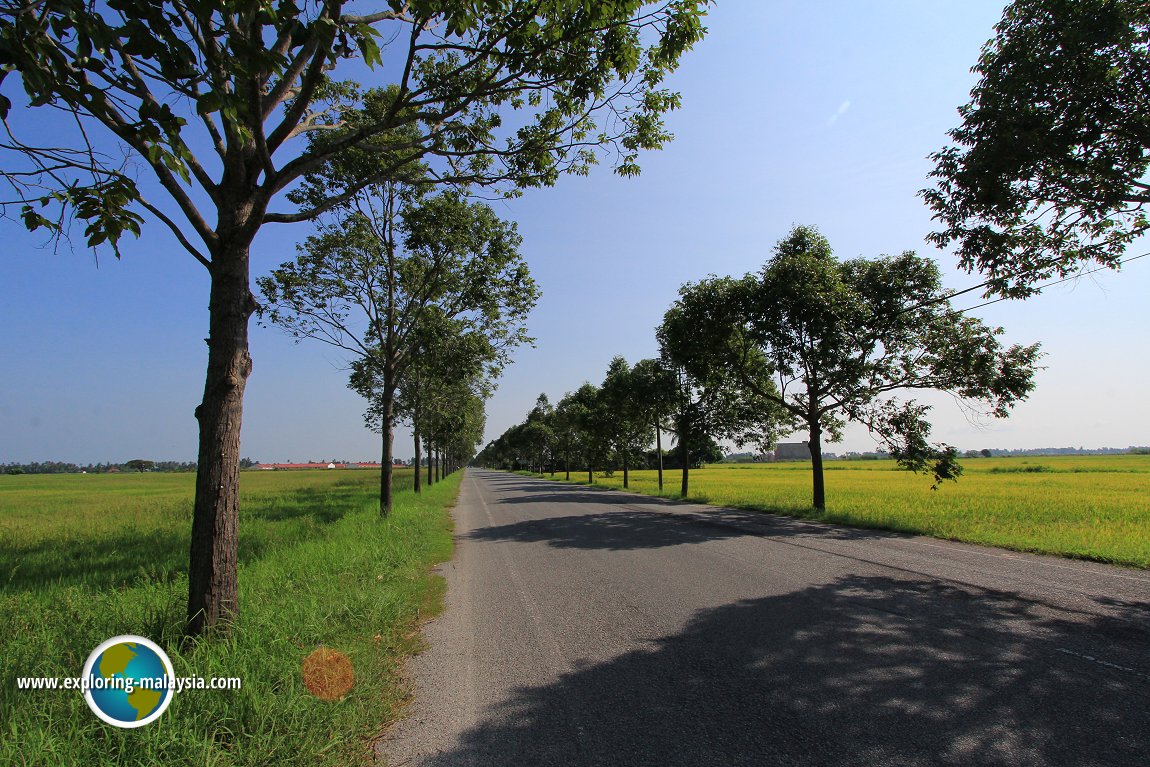 Country road in Yan Kechil