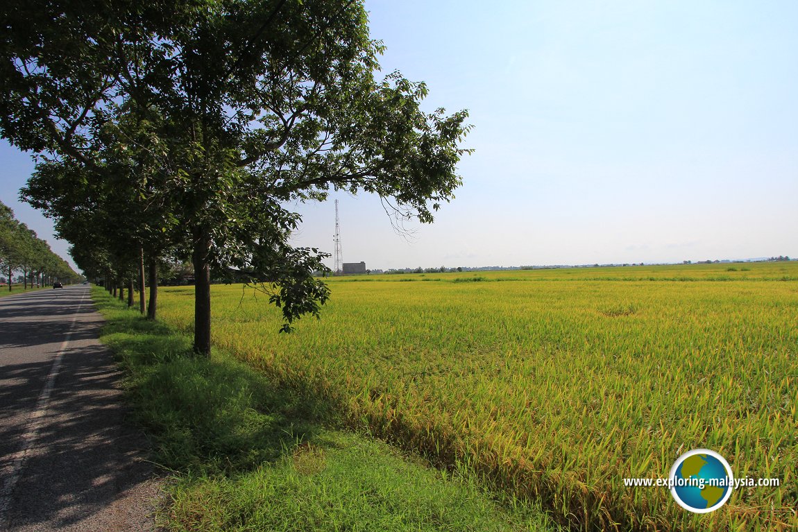 Country road in Yan Kechil