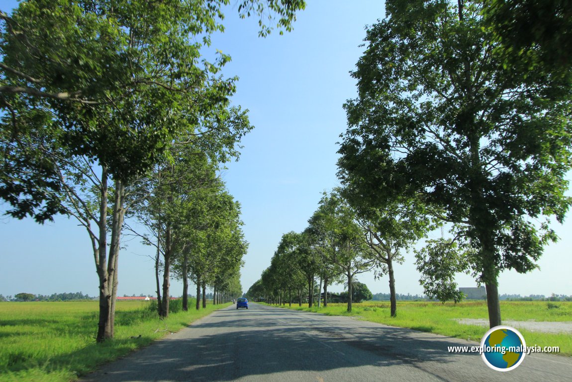 Country road in Yan Kechil