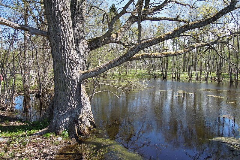 A small poind in Aggarön