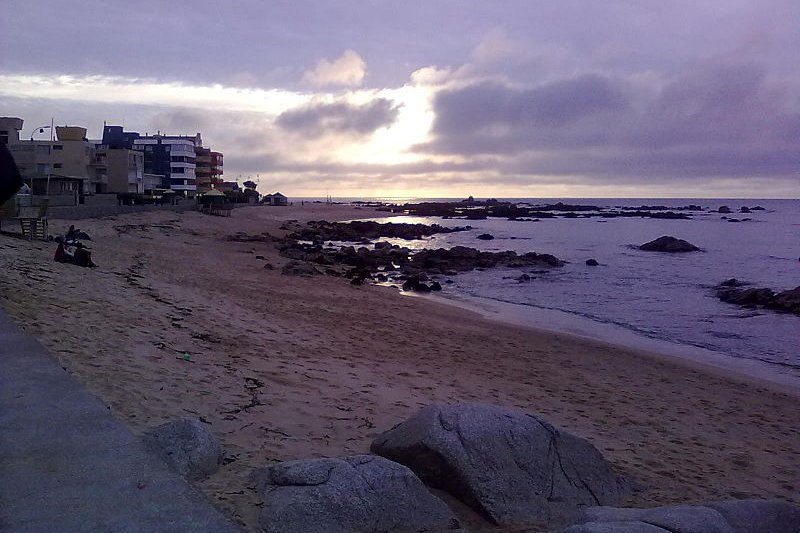 Algarrobo