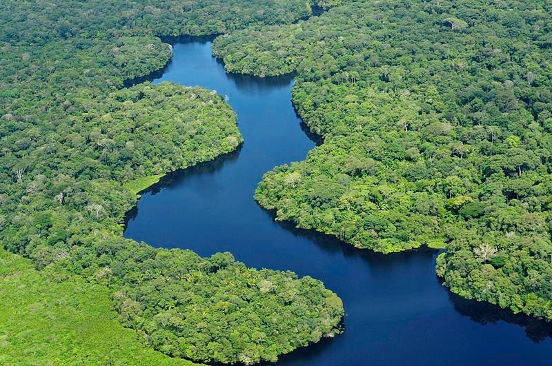 Amazon Rainforest