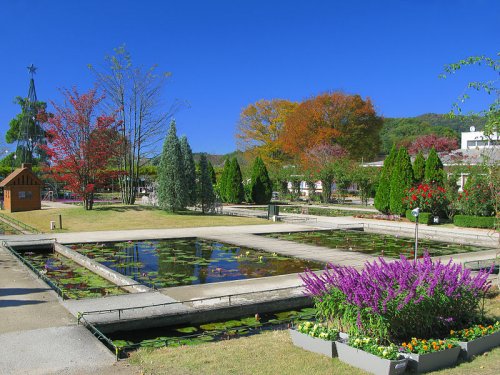 Ashikaga Flower Park, Ashikaga City, Tochigi Prefecture