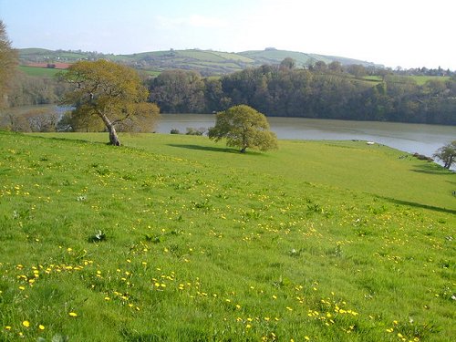 Ashprington Point, Devon