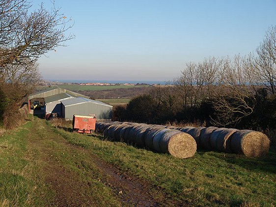 Barns and bales at East Riding of Yorkshire