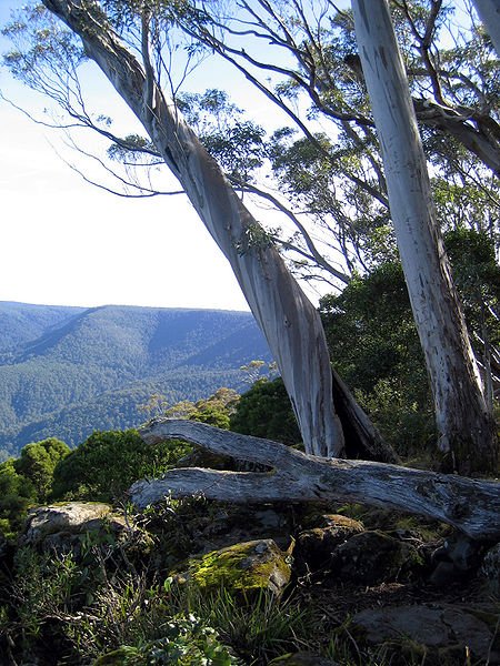 Barrington Tops National Park