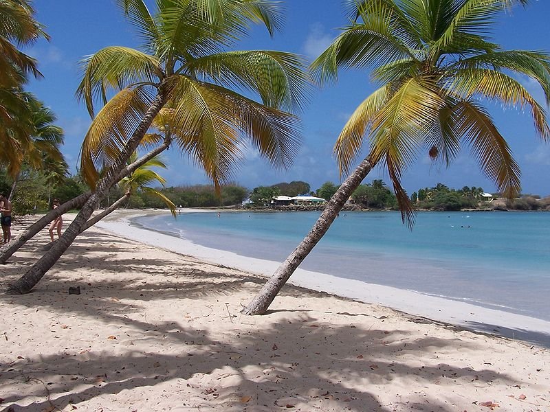 Bay of Salines, Martinique