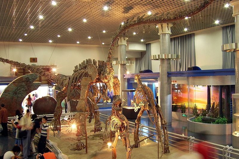 Beijing Museum of Natural History