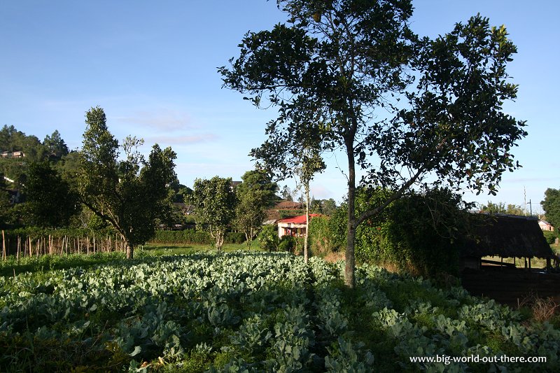 Berastagi, Sumatra