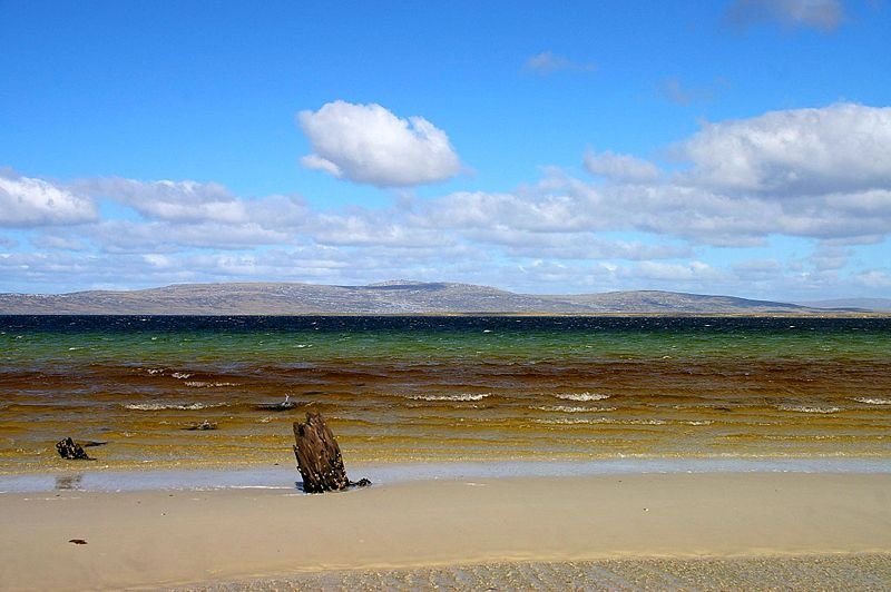 Berkeley Sound, Falklands