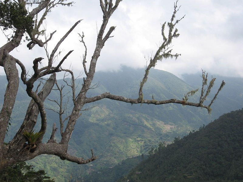 Blue Mountains, Jamaica