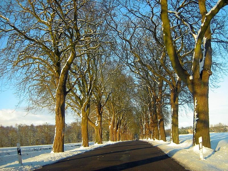 Country road in Boitzenburg, Brandenburg