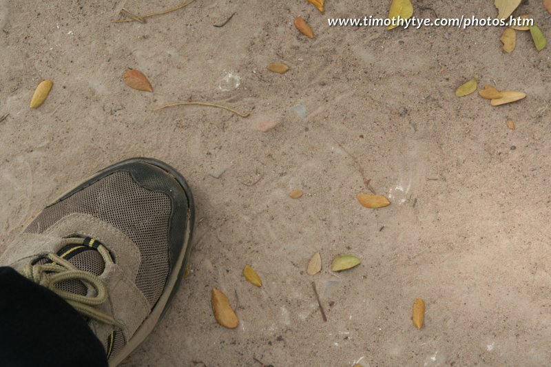 Bone fragments on the ground near my shoe at Choeung Ek