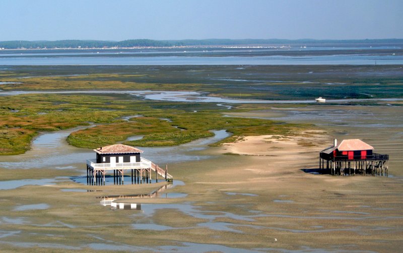 Cabanes tchanquées near Arcachon