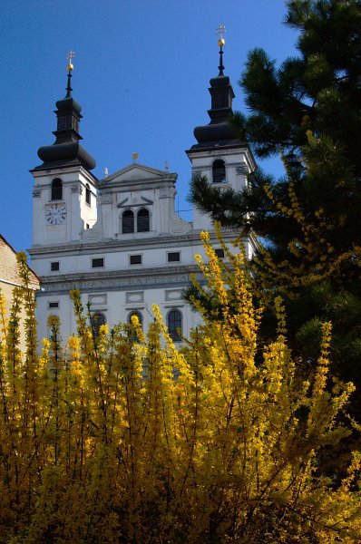 Cathedral of St John the Baptist, Trnava