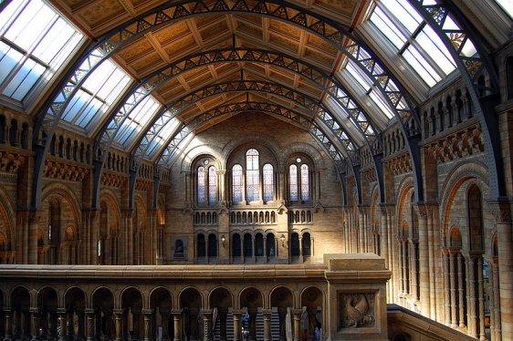 Central Hall, Natural History Museum