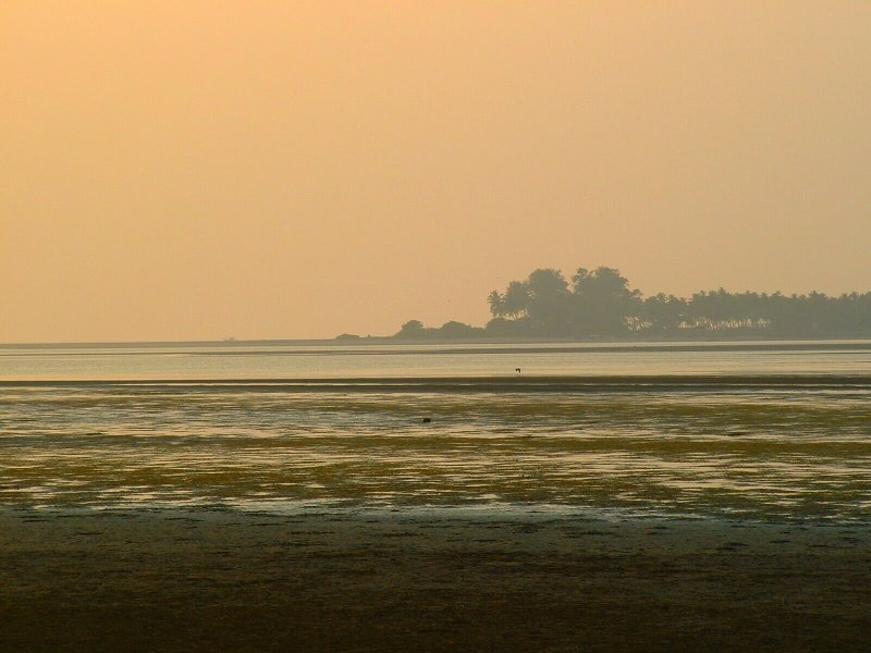 Chapora River, Goa