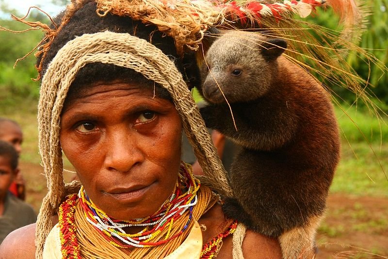 Chief's wife with tree kangaroo, Papua New Guinea