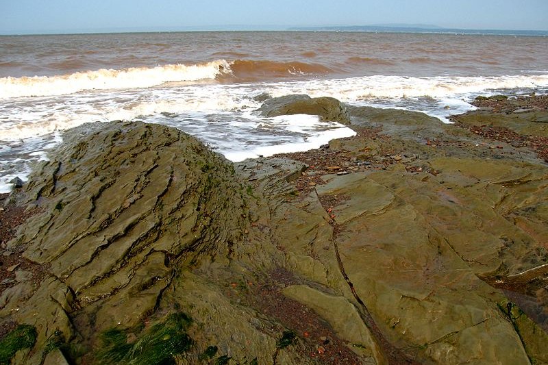 Chignecto Bay, Joggins Fossil Cliffs, Nova Scotia
