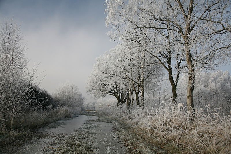 Cold winter day in Lower Saxony