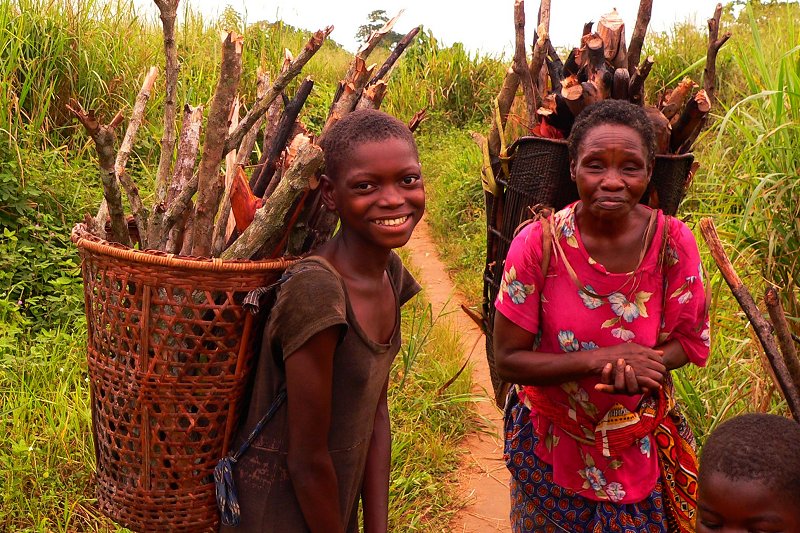 Collecting firewood in Basankusu