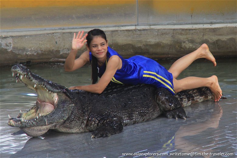 Crocodile show at Sriracha Tiger Zoo, Chonburi Province