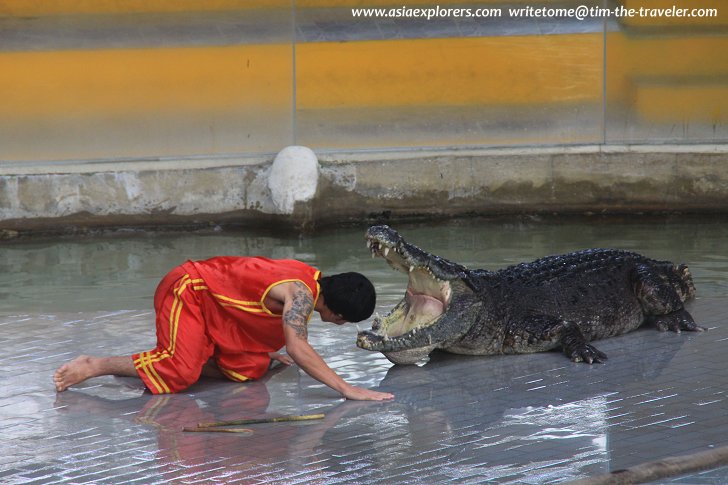 Crocodile Show at Sriracha Tiger Zoo