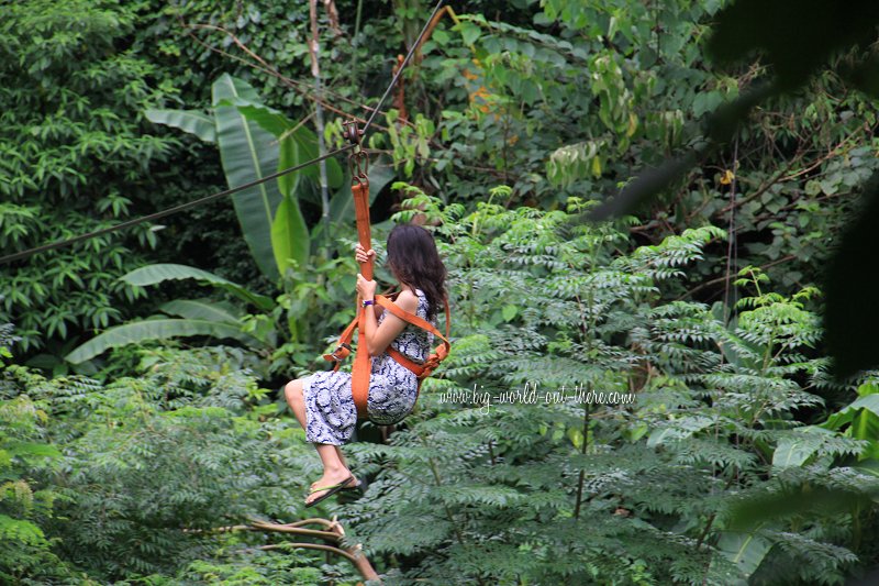 Crossing the ravine, Xishuangbanna Virgin Forest Park