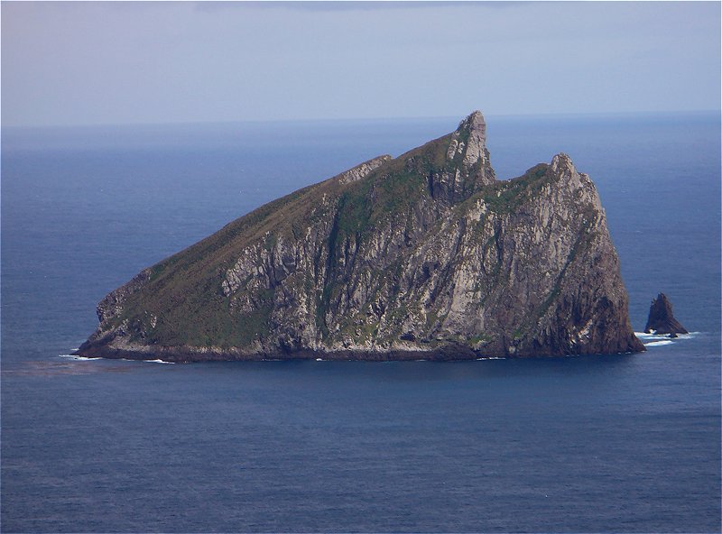 Dent Island, Campbell Island group