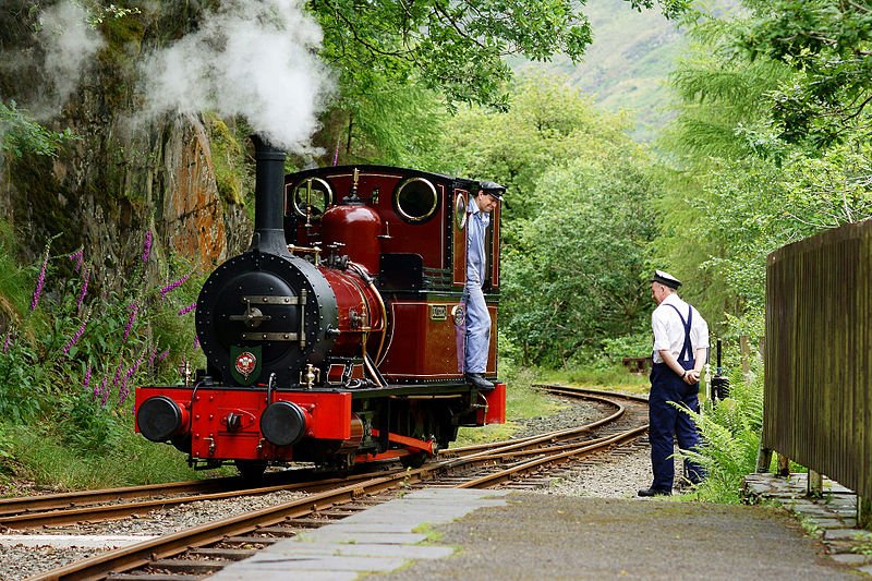 Dolgoch train