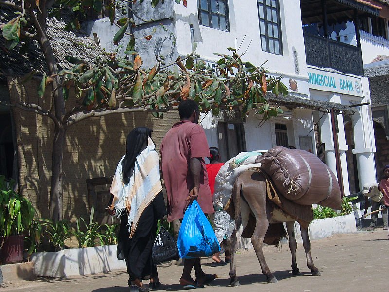Donkey transport on Lamu