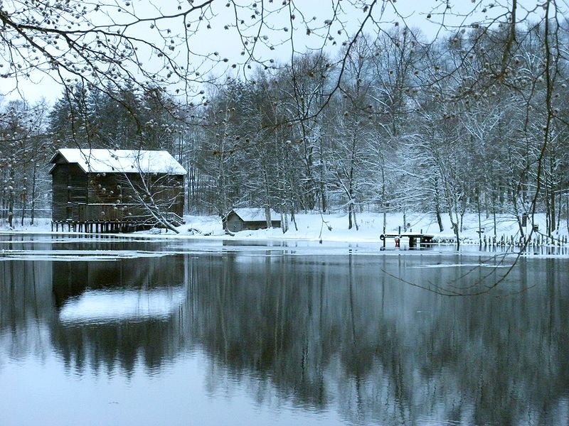 View of the forest from the Drammenselva River in Drammen, Norway