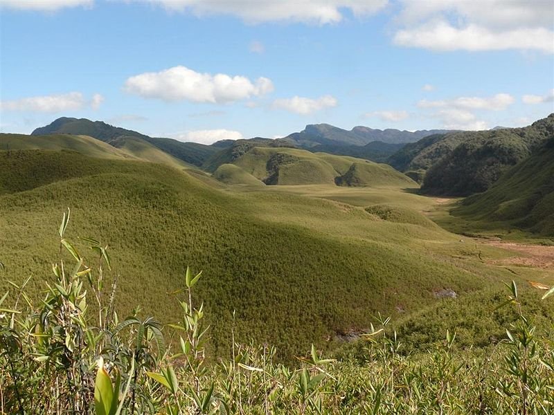 Dzuko Valley, Manipur