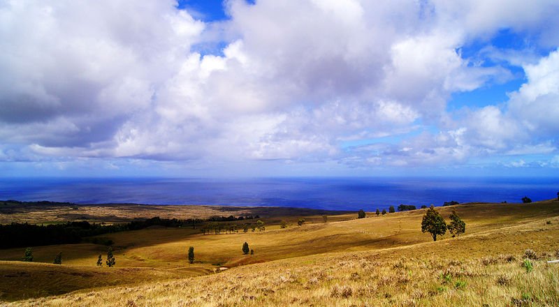 Easter Island vista