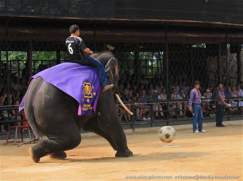 Elephant playing football, Nong Nooch