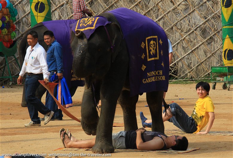 Elephant walking over people, Nong Nooch