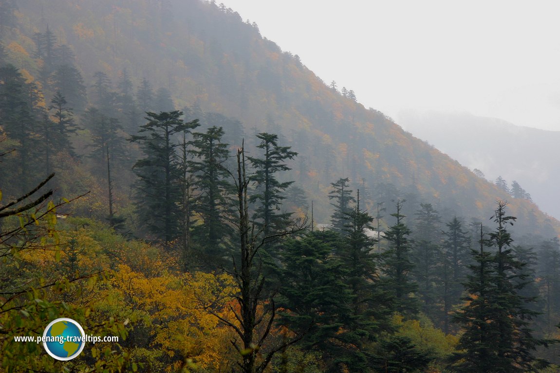 Emeishan, Sichuan Province