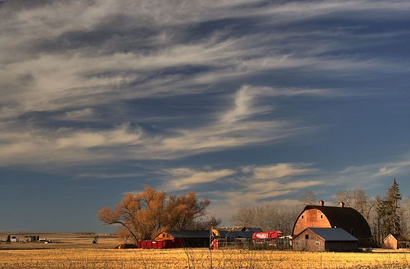 Farm in Alberta, Canada