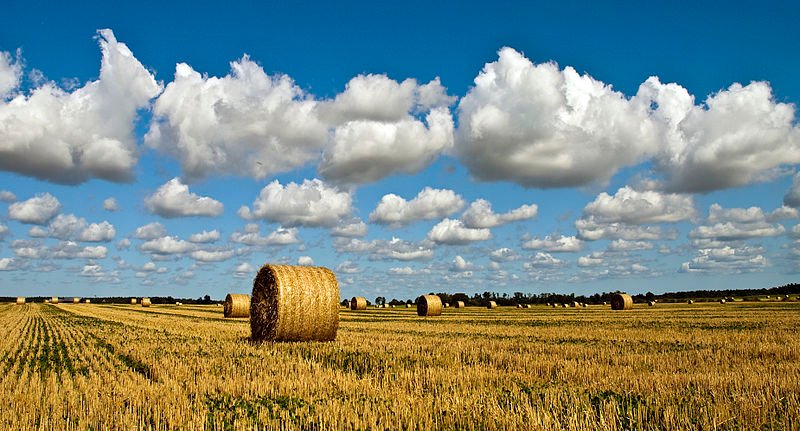 Farm landscape in Gotland, Sweden