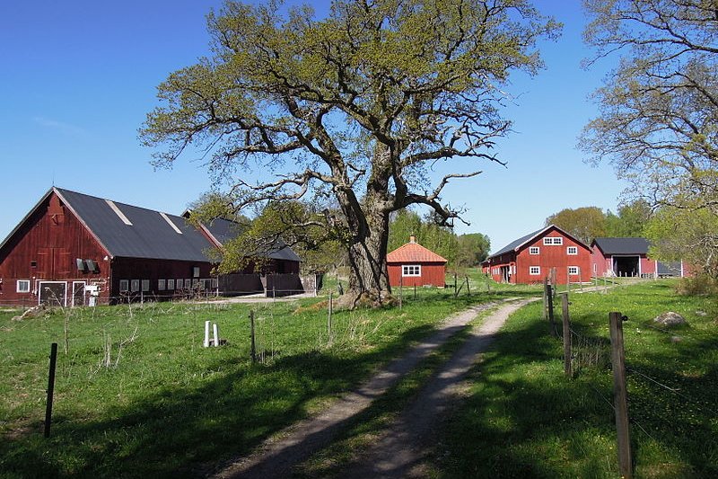Farmhouses in Aggarö