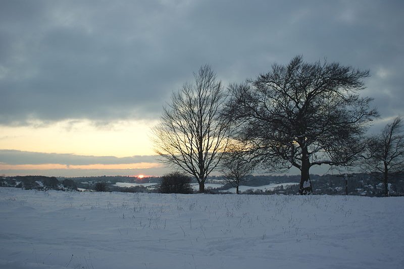 Farthing Downs, Croydon