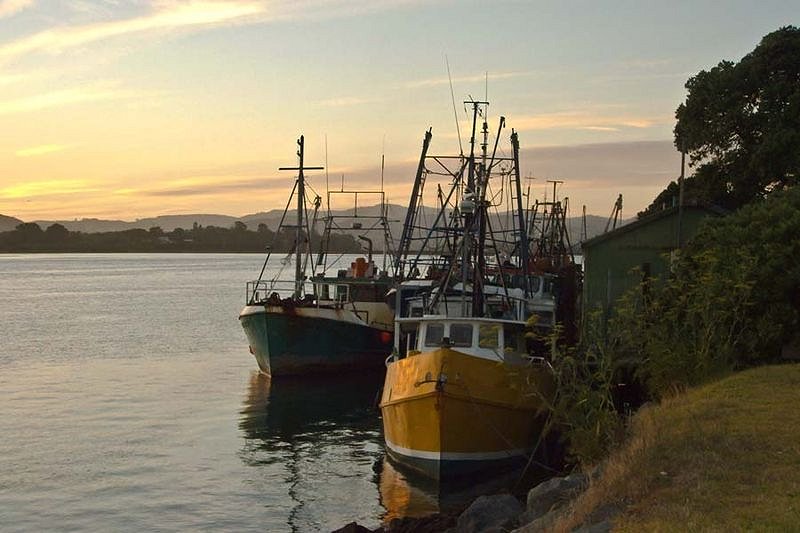 Fishing Boats at Tauranga Harbour