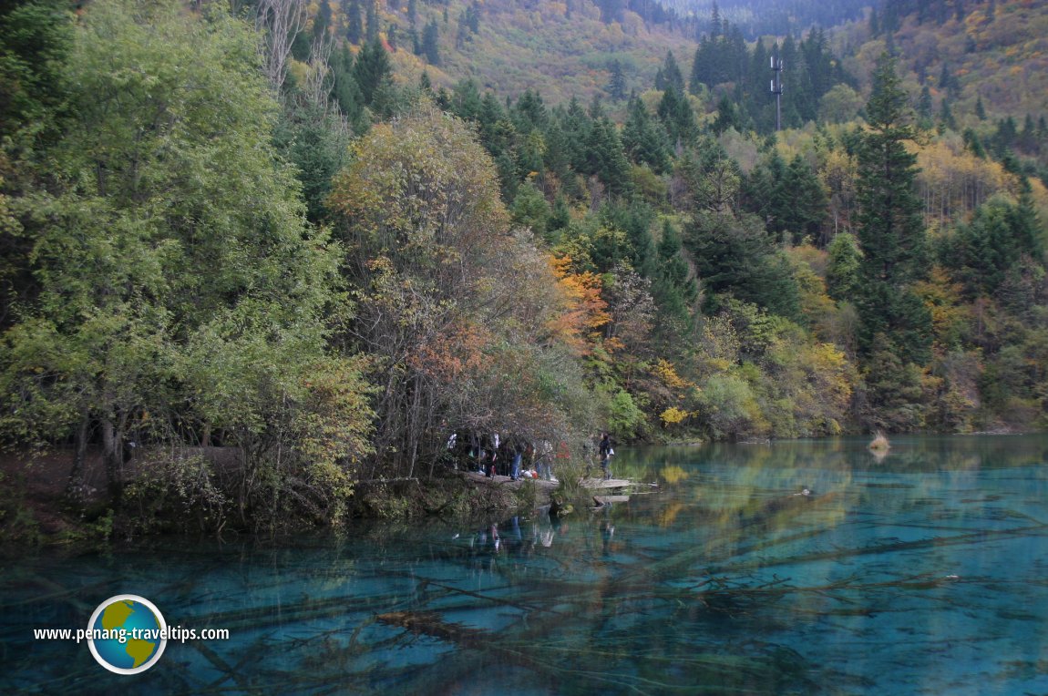 Five Flower Lake, Jiuzhaigou