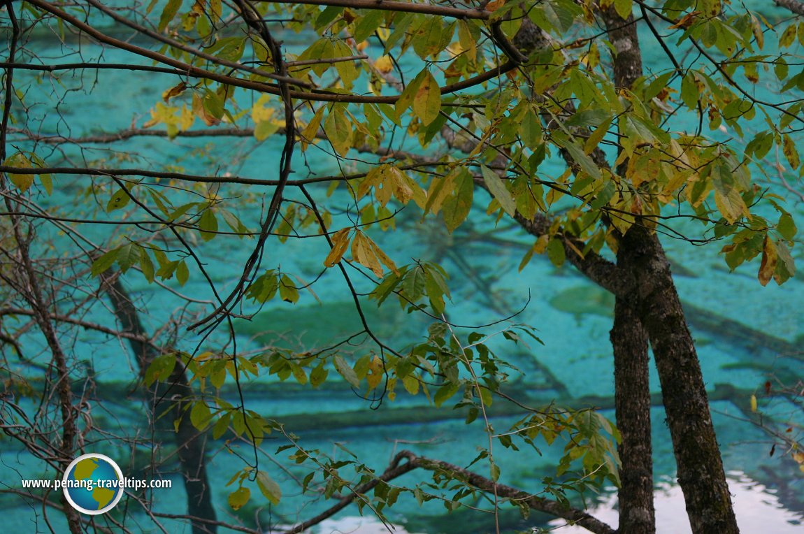 Five Flower Lake, Jiuzhaigou