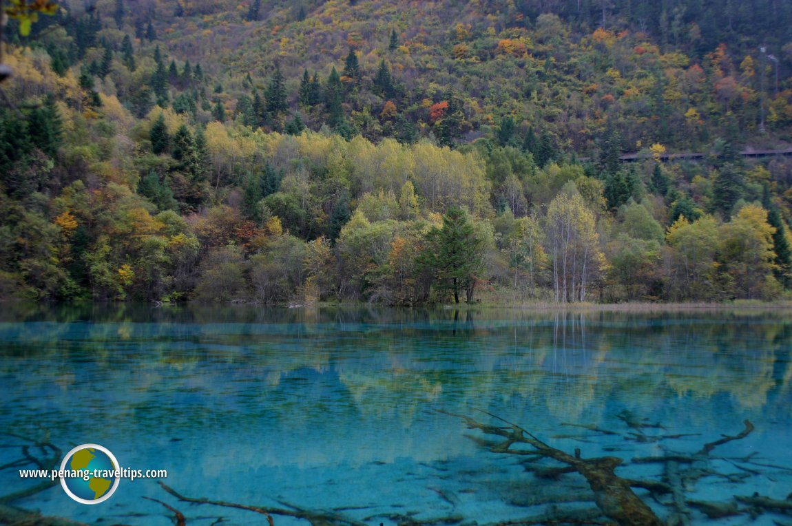 Five Flower Lake, Jiuzhaigou